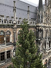 Blick von oben auf die Fichte aus Freyung-Lichtenau für den Christkindlmarkt auf dem Marienplatz (©Foto: Martin Schmitz)